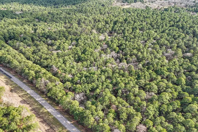 a close up of a plant