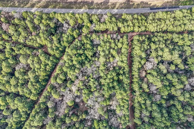 a view of a small yard with plants