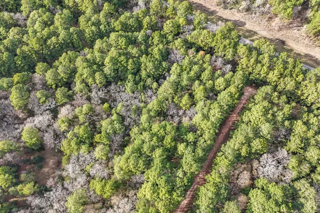 $20,000 | 0 East Hickory Bow Lane, Hempstead, TX 77445