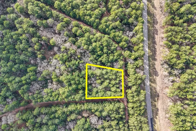 a view of a forest with a street