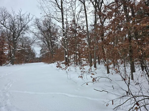 $7,500 | V/l West Meade Street, Baldwin, MI 49304