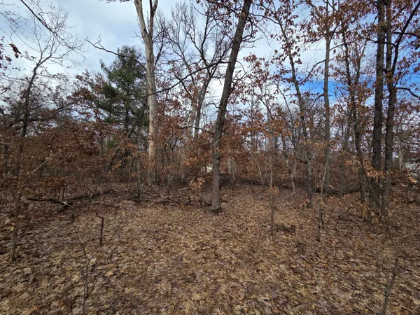 $7,500 | V/l West Meade Street, Baldwin, MI 49304