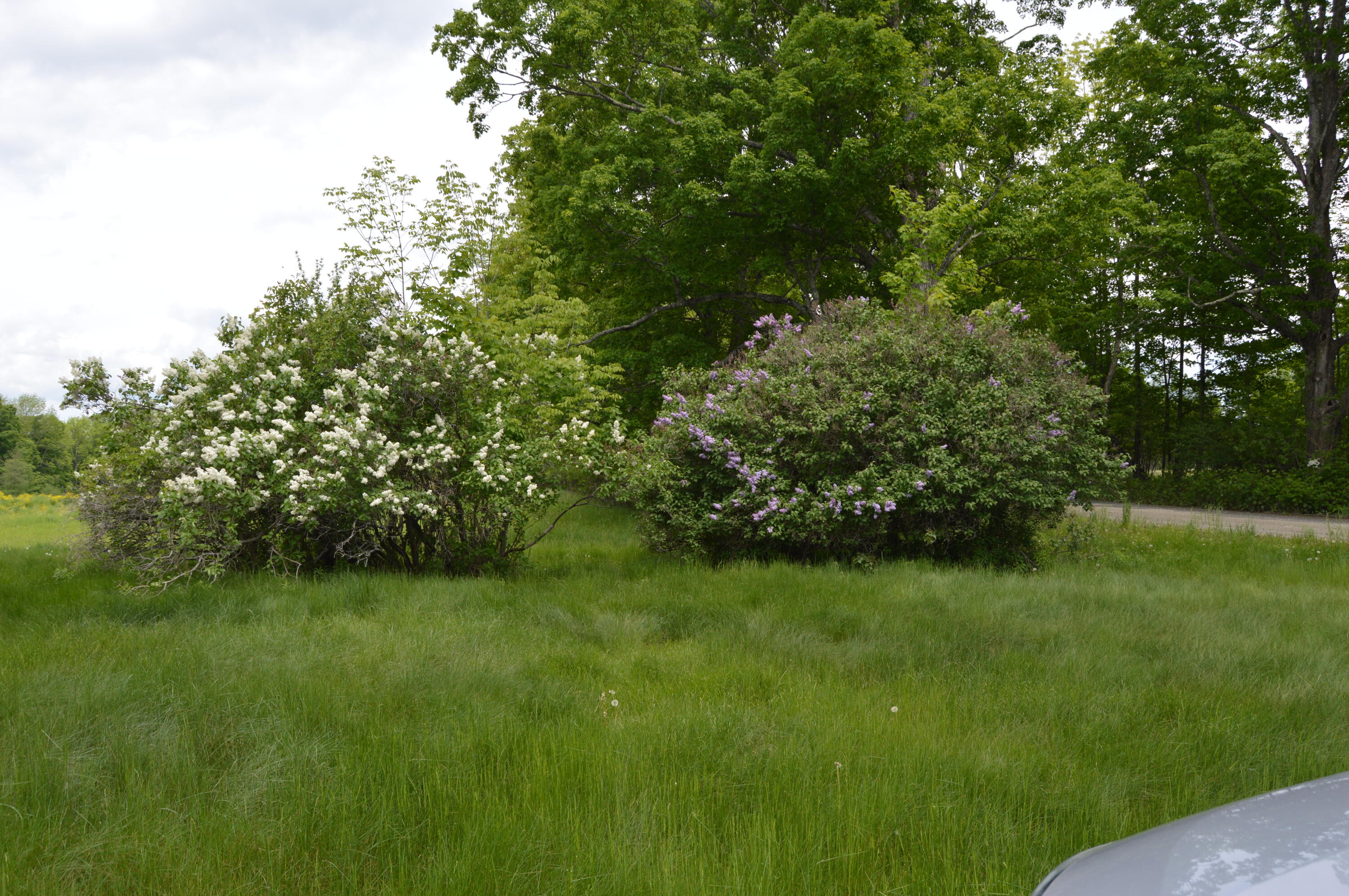 223 Webb Ridge Road St. Albans, ME 04971 - Photo 22 of 26 DSC_0215