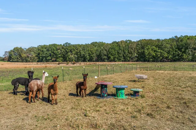 $1,065,000 | 128 Emma Street, Hohenwald, TN 38462