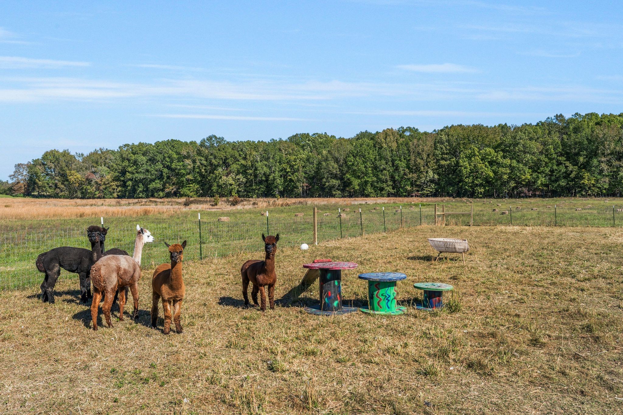 128 Emma Street Hohenwald, TN 38462 - Photo 64 of 96