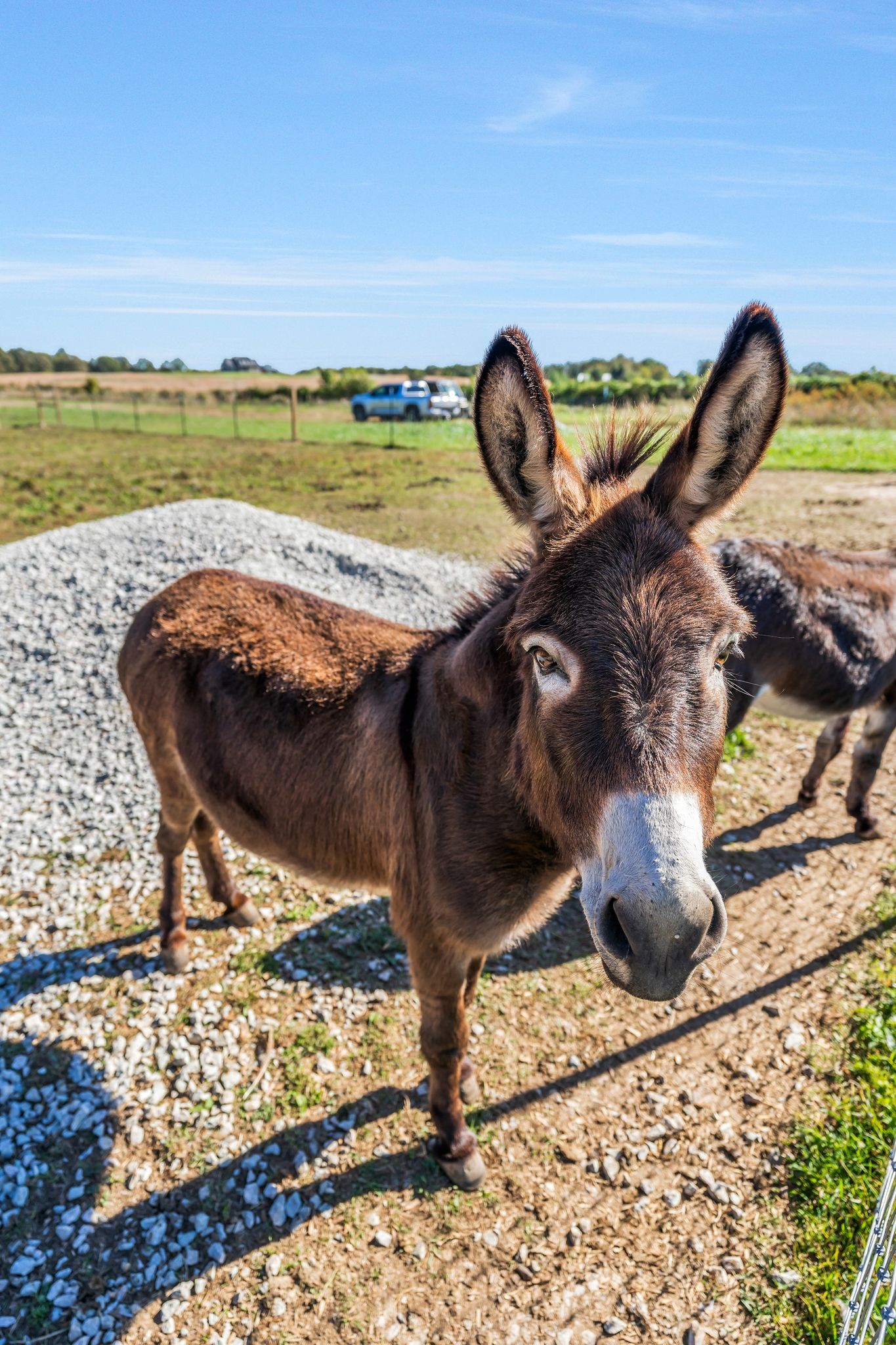 128 Emma Street Hohenwald, TN 38462 - Photo 65 of 96