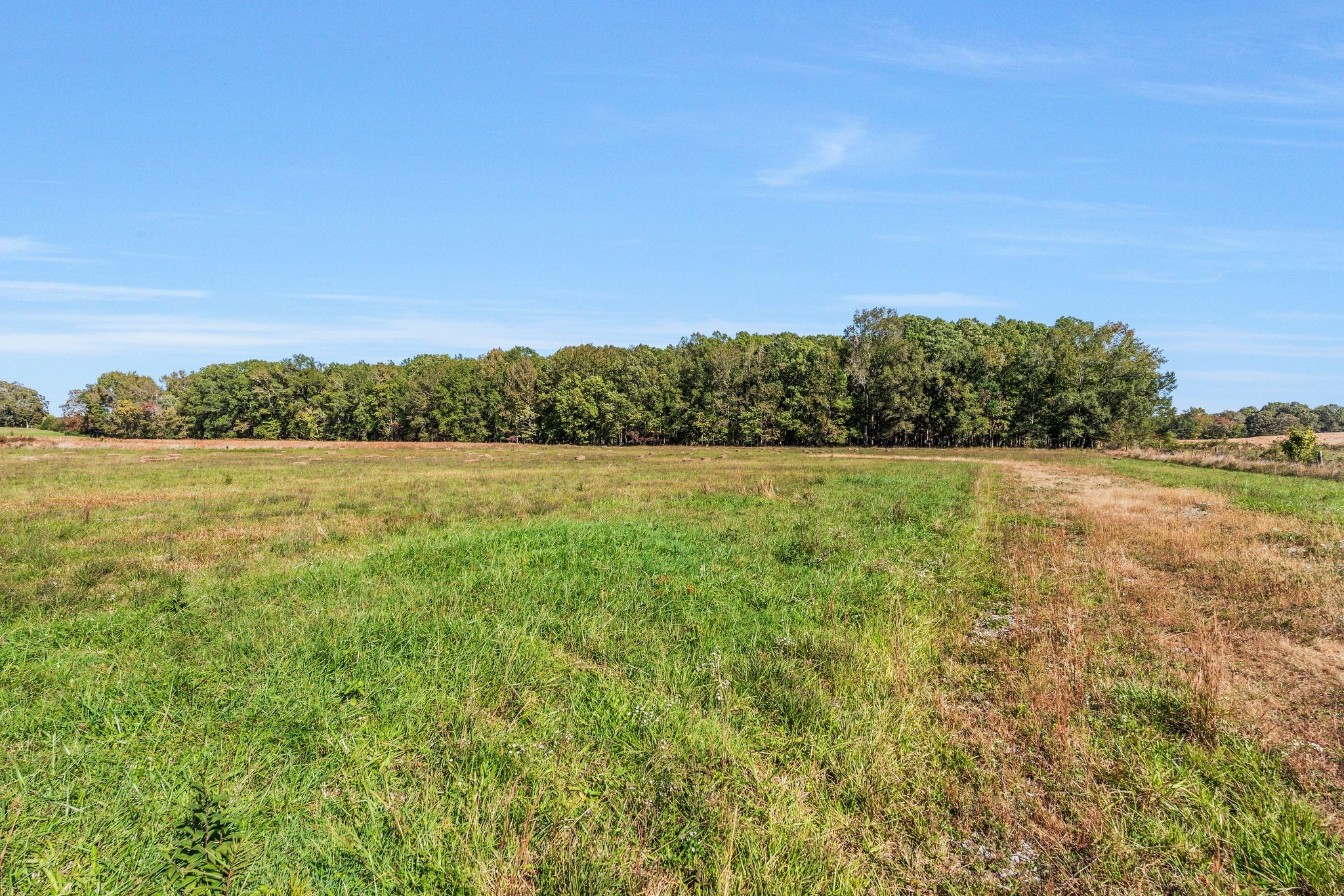 128 Emma Street Hohenwald, TN 38462 - Photo 66 of 96 a view of a field with an ocean view