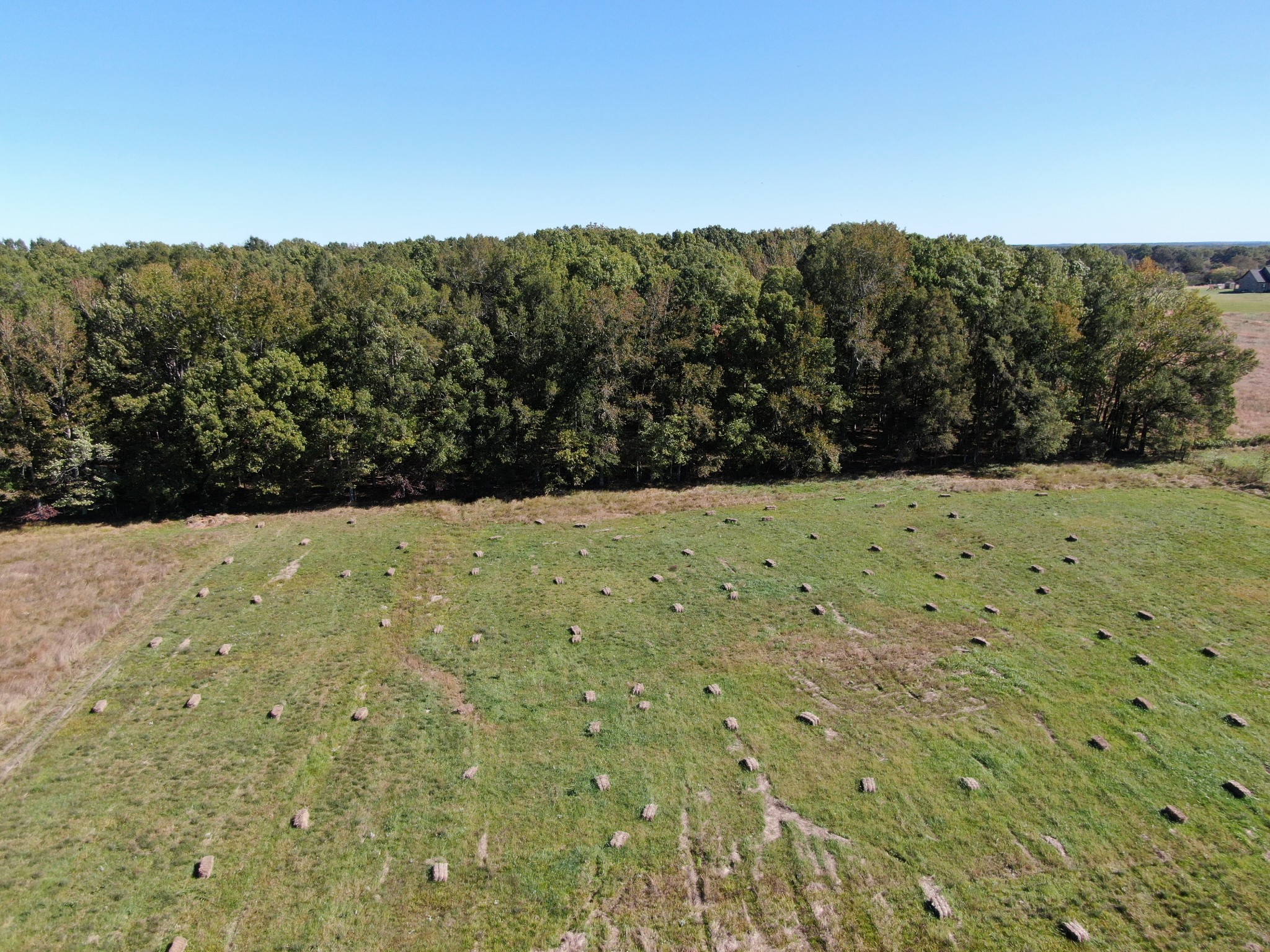 128 Emma Street Hohenwald, TN 38462 - Photo 87 of 96