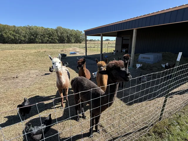 $1,065,000 | 128 Emma Street, Hohenwald, TN 38462