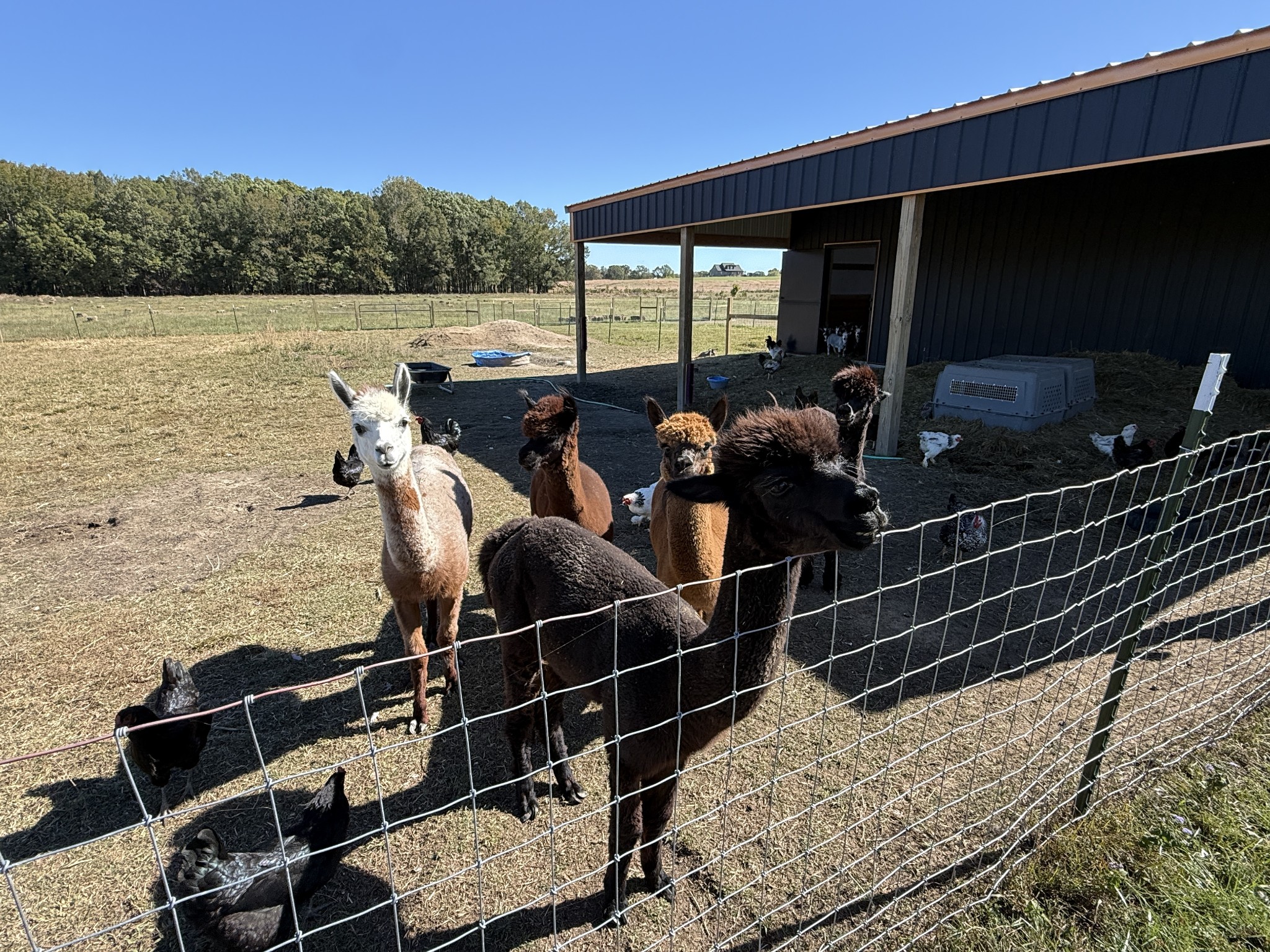 128 Emma Street Hohenwald, TN 38462 - Photo 92 of 96