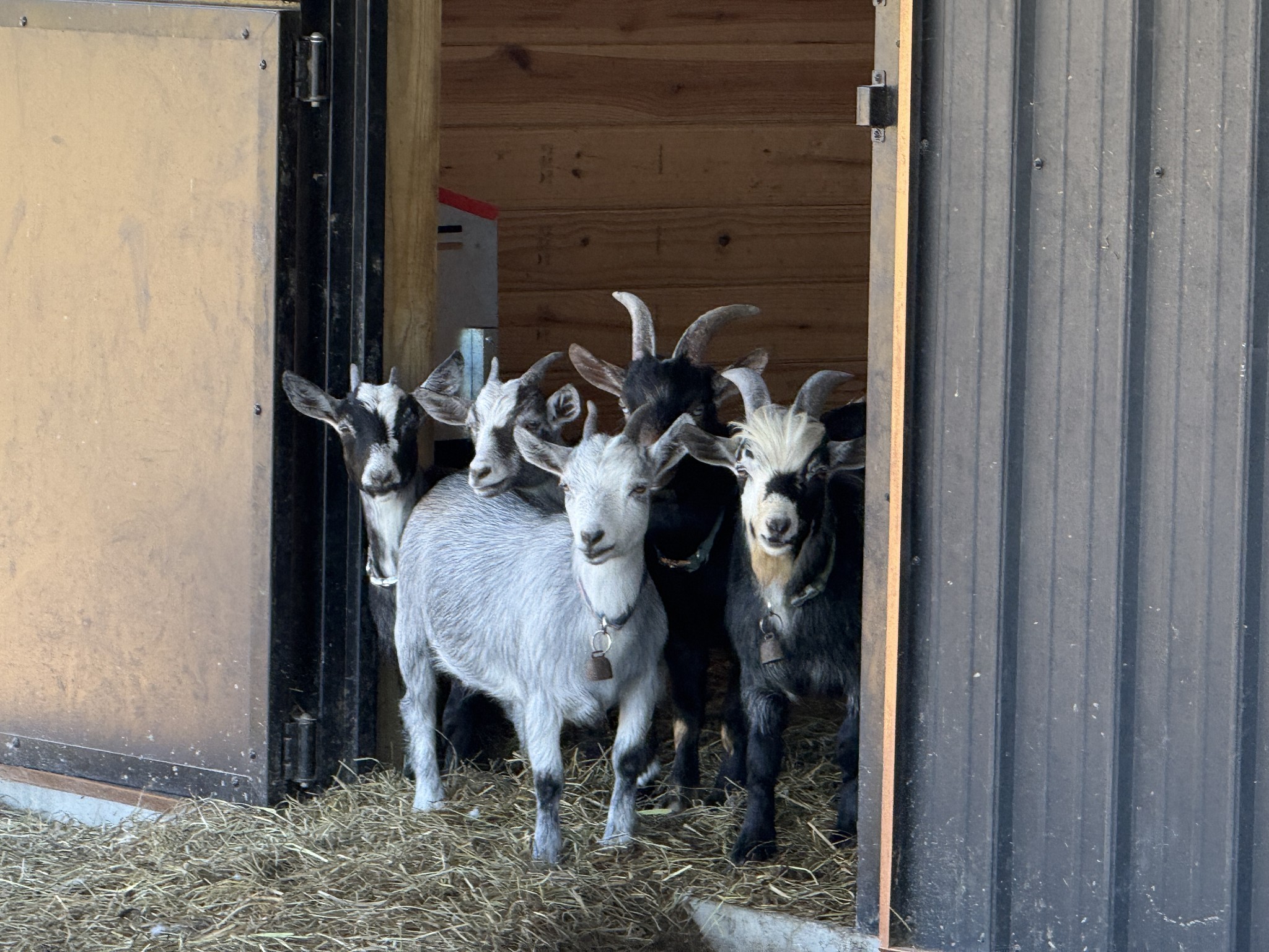 128 Emma Street Hohenwald, TN 38462 - Photo 93 of 96