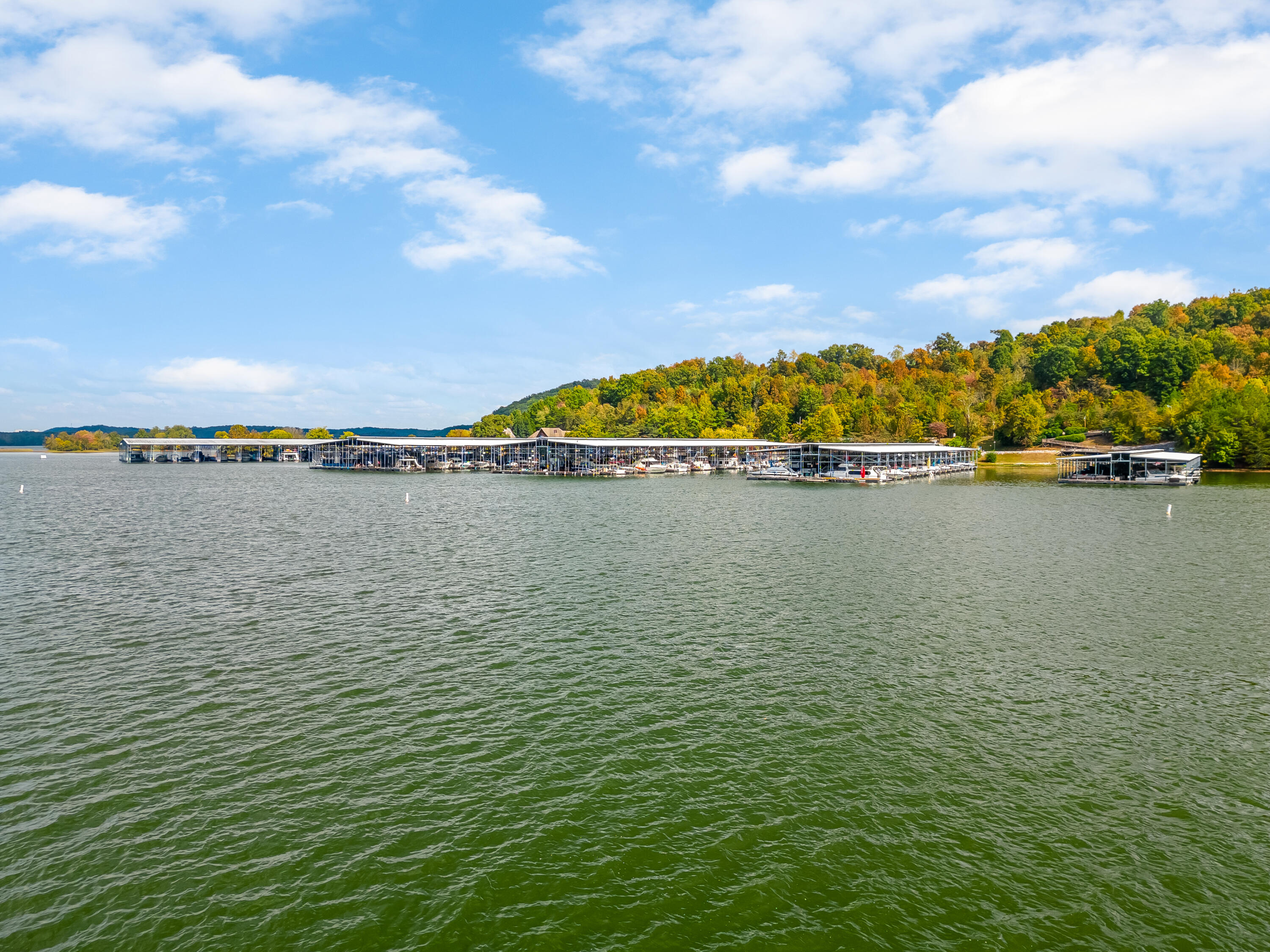 6591 Chipmunk Drive Harrison, TN 37341 - Photo 26 of 48 2023_10_October_6591_Chipmunk_Dr_0027