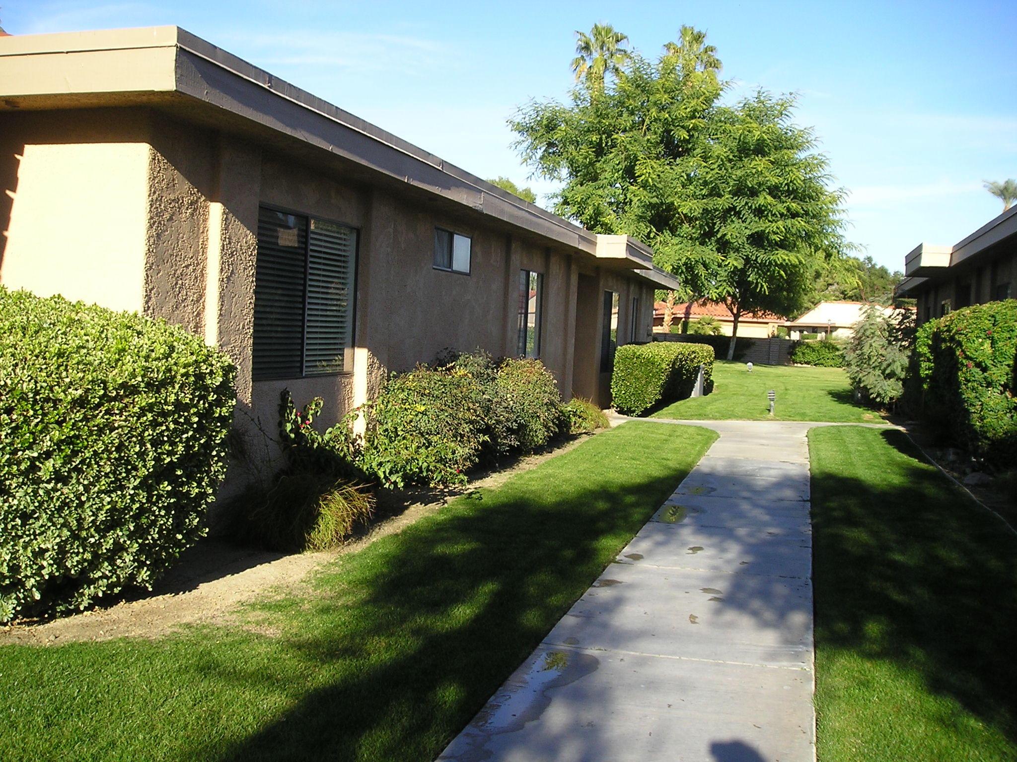 a view of a back yard of the house