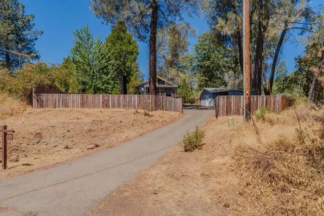 a view of a backyard with large trees