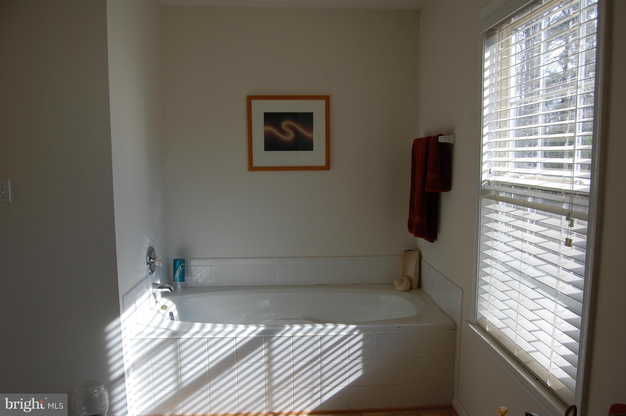 11101 Signal Hill Road Culpeper, VA 22701 - Photo 15 of 30 Bath (Master)