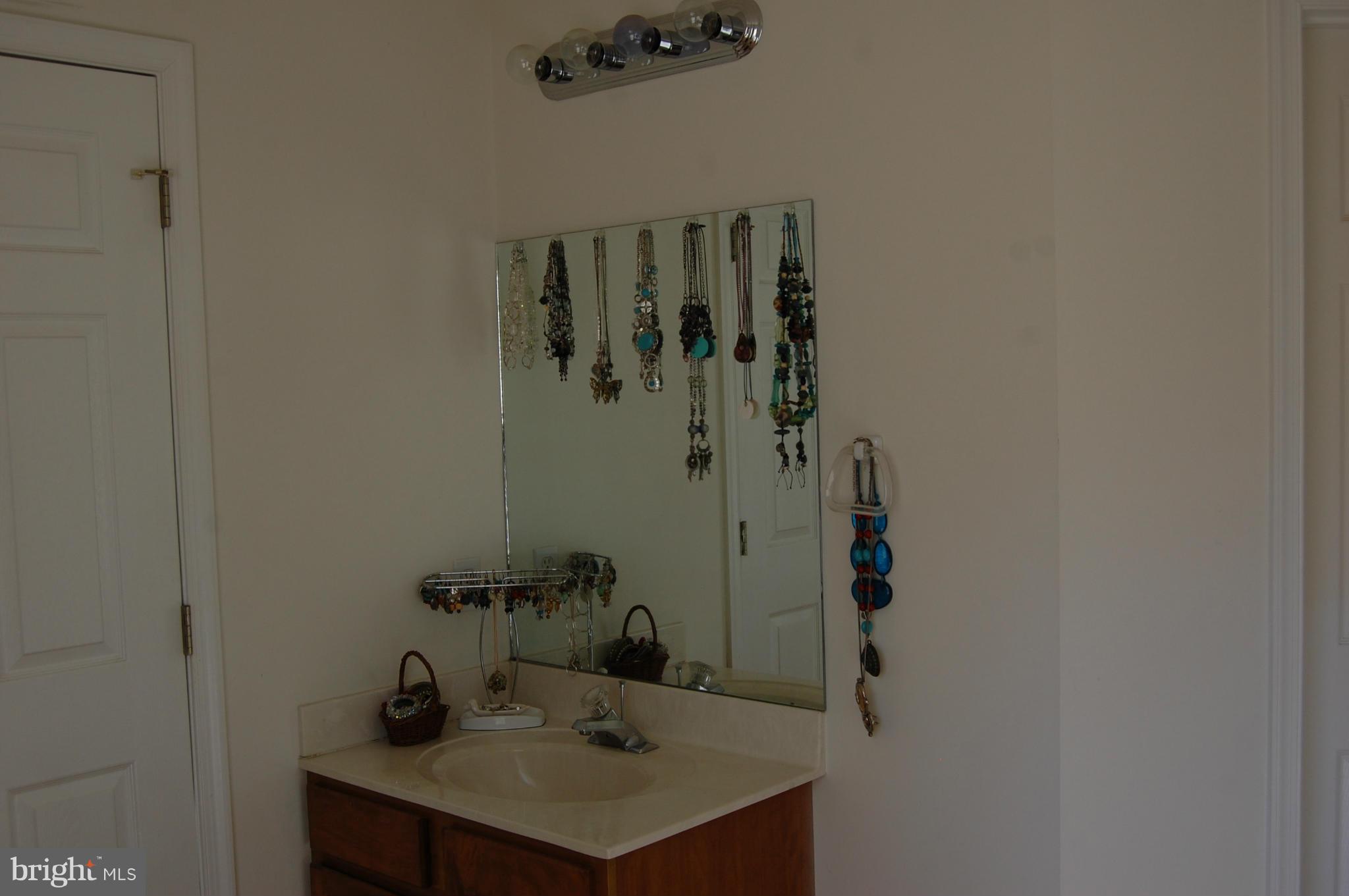 11101 Signal Hill Road Culpeper, VA 22701 - Photo 17 of 30 Bath (Master)