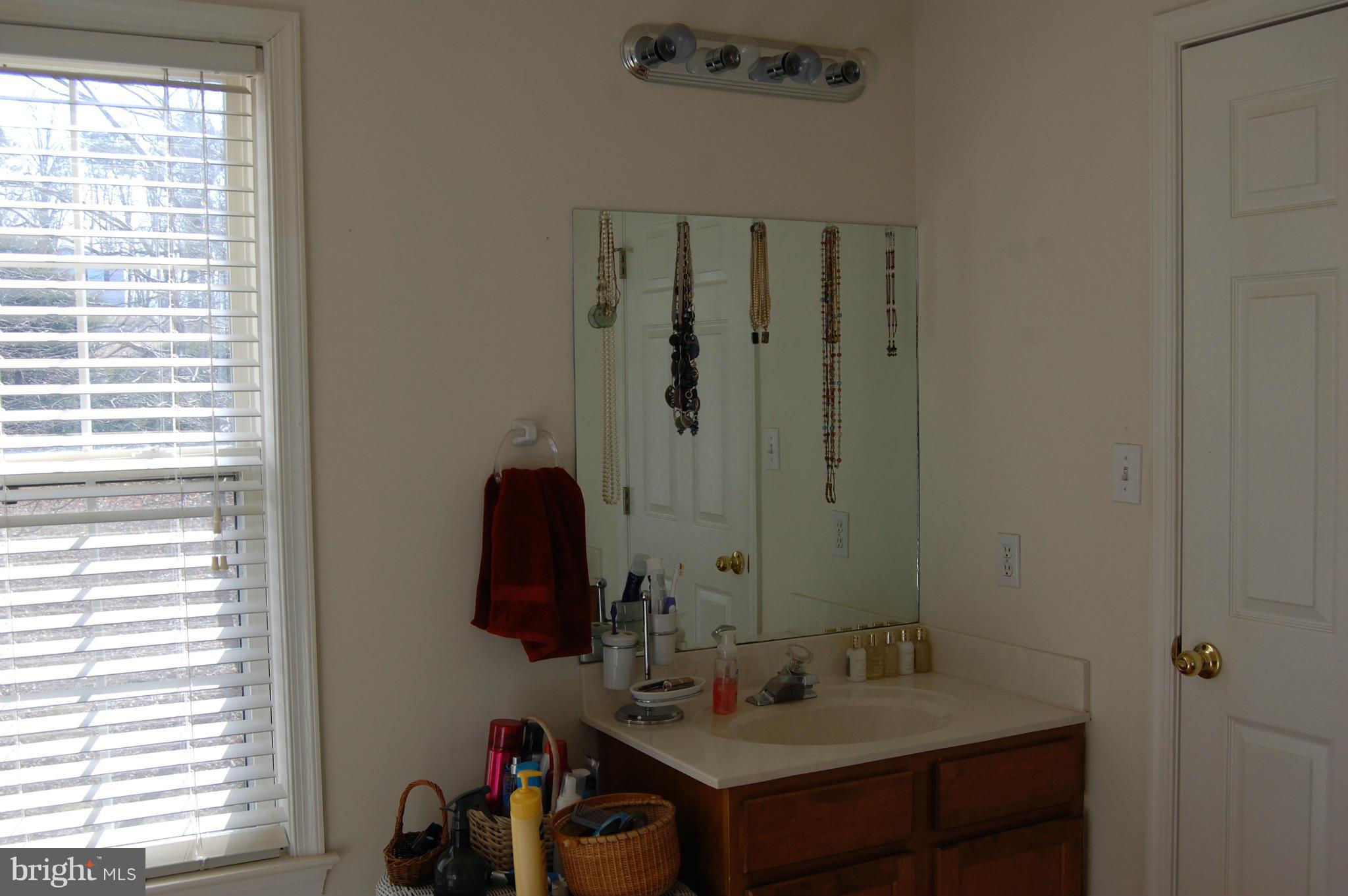 11101 Signal Hill Road Culpeper, VA 22701 - Photo 18 of 30 Bath (Master)