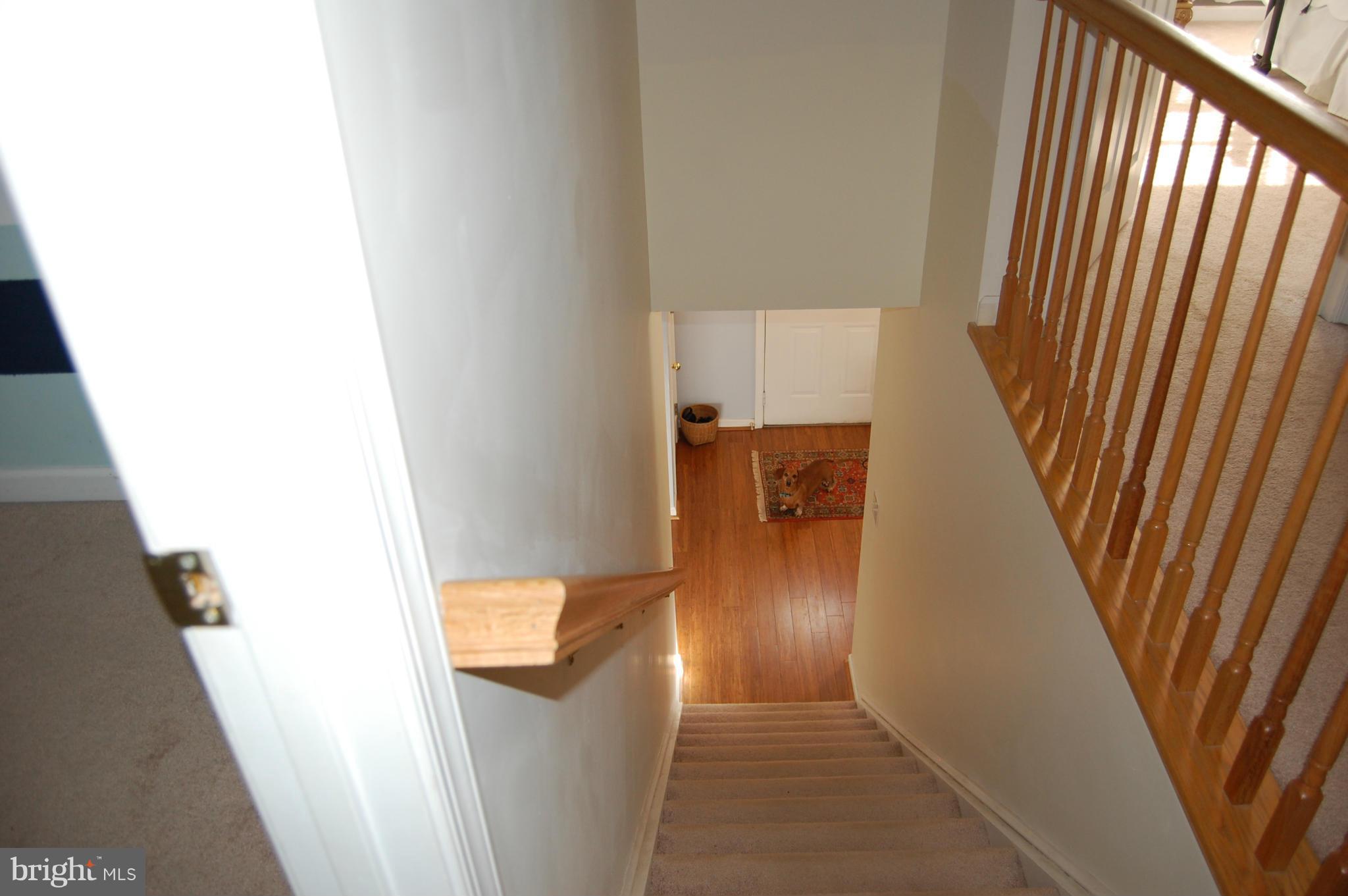 11101 Signal Hill Road Culpeper, VA 22701 - Photo 21 of 30 Interior (General)