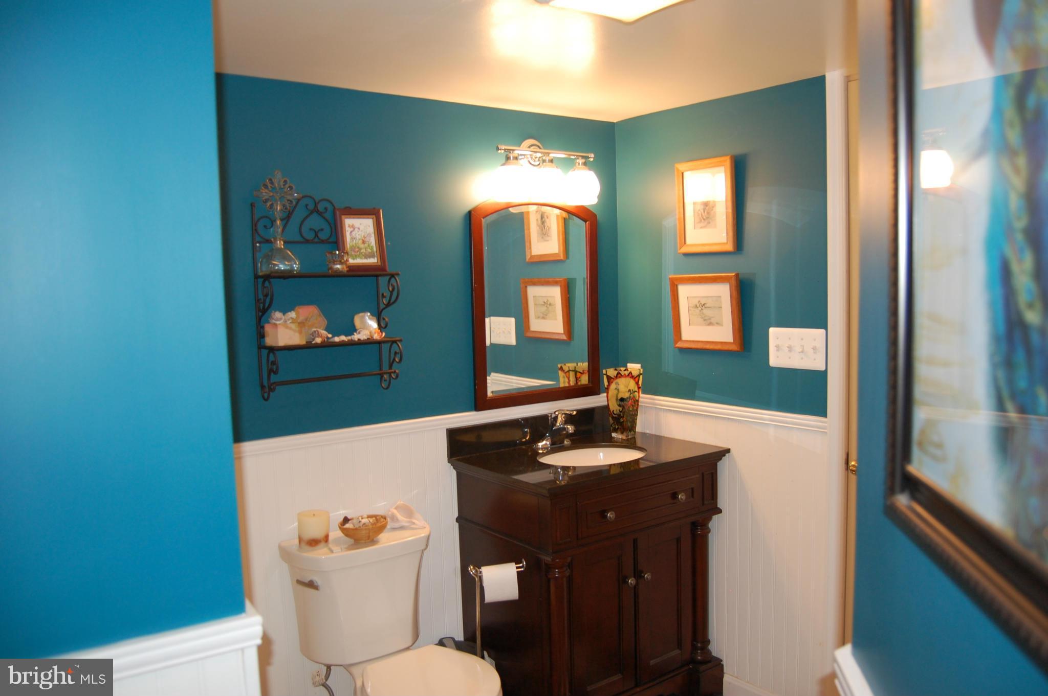 11101 Signal Hill Road Culpeper, VA 22701 - Photo 24 of 30 Bath
