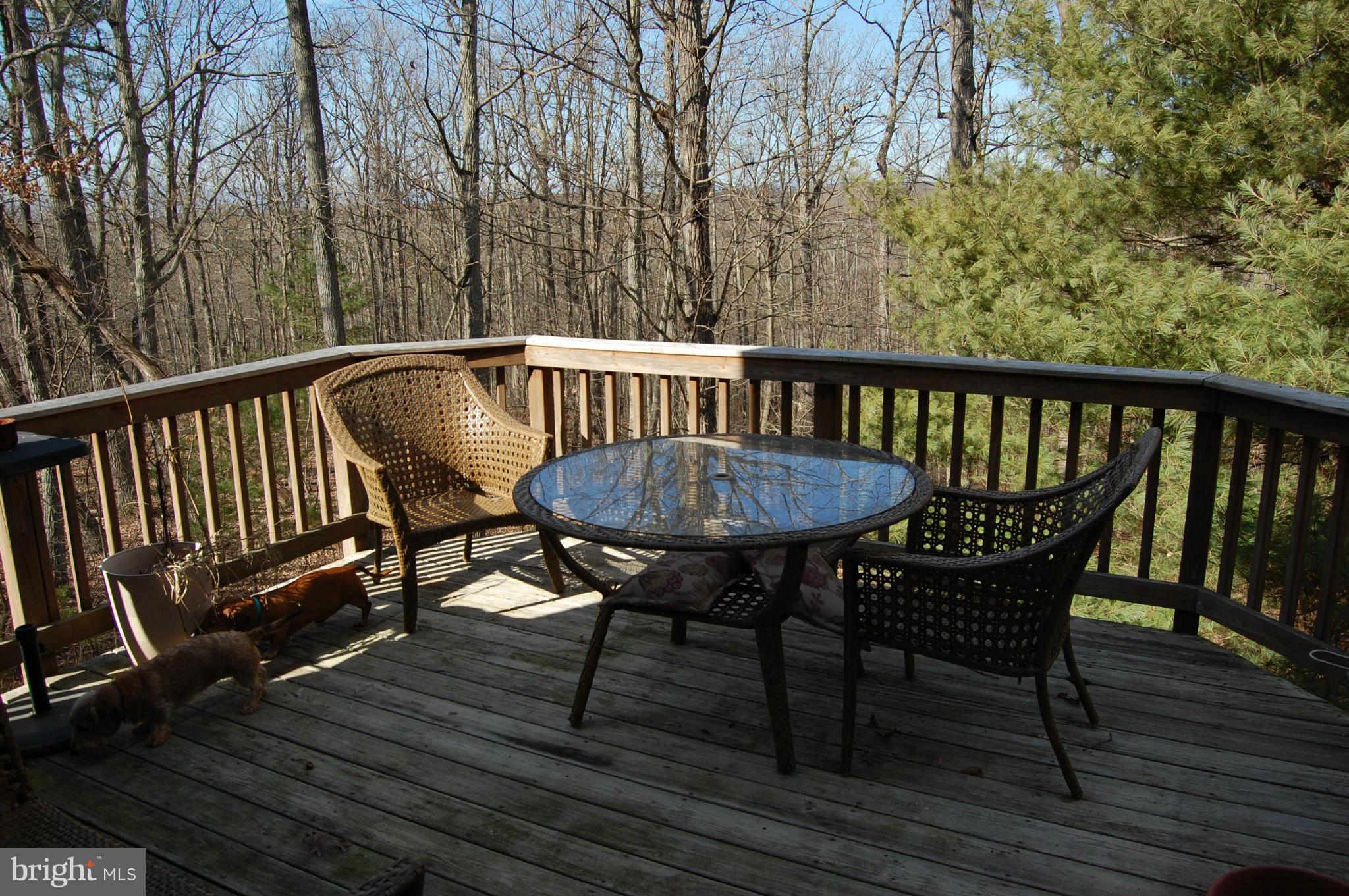 11101 Signal Hill Road Culpeper, VA 22701 - Photo 26 of 30 Exterior (Rear)