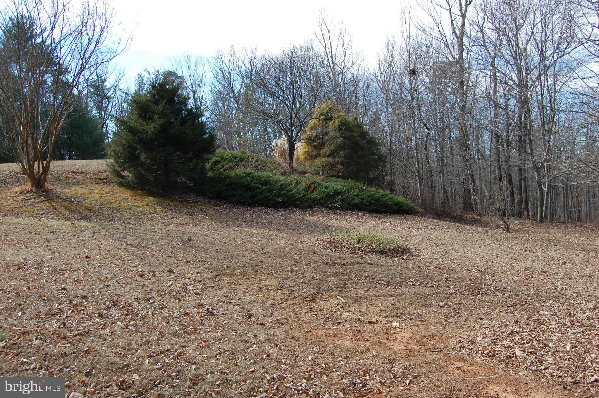 11101 Signal Hill Road Culpeper, VA 22701 - Photo 29 of 30 View