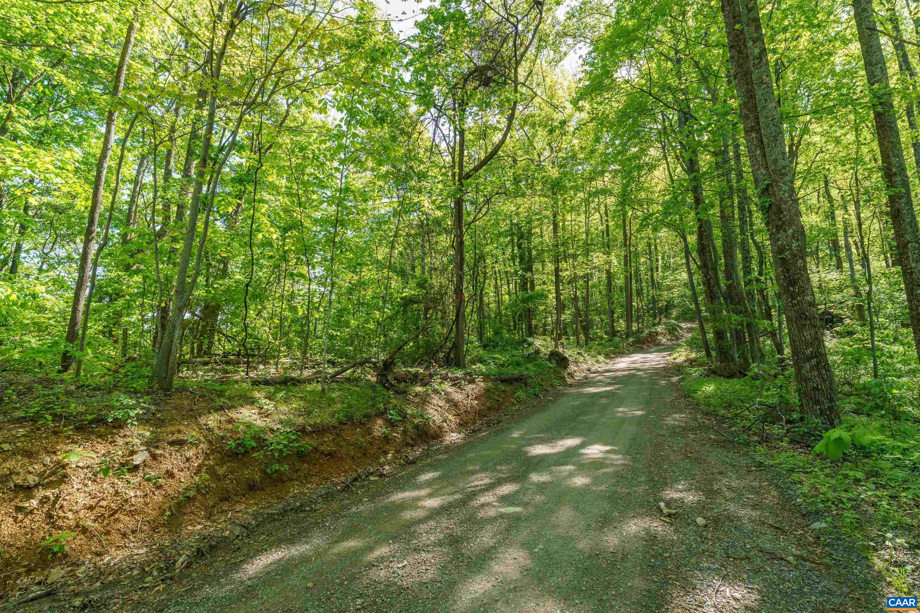 Lot A Brokenback Mountain Road Dyke, VA 22935 - Photo 11 of 15