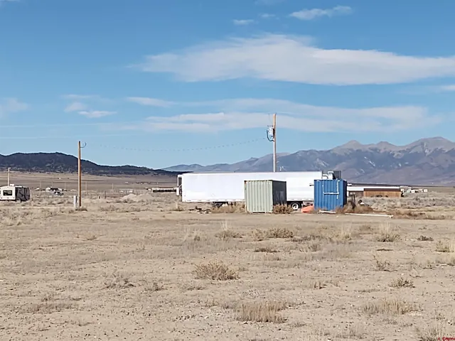 a big room with a bed and large trees