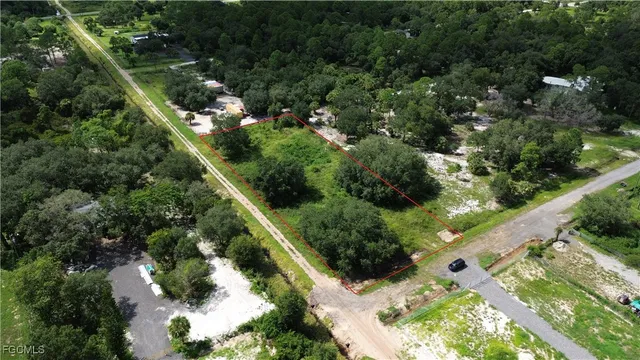 a view of a lush green forest with lawn chairs