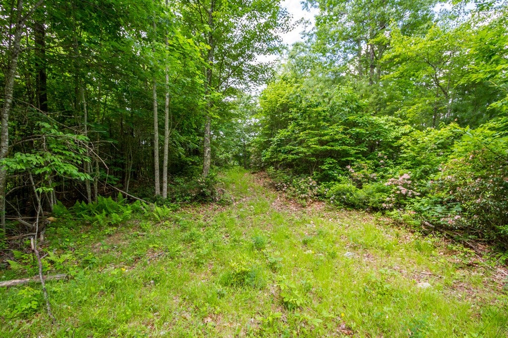 Lot 4 Gem Stream Road, Unit 4 Elk Creek, VA 24326 - Photo 22 of 33 Gallery Image 22