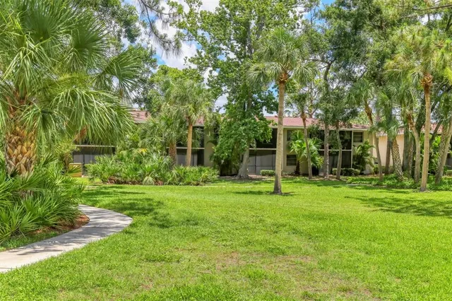a view of a park with large trees