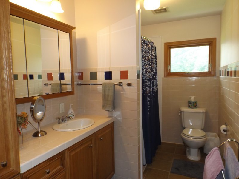 340 Tree Lane Prophetstown, IL 61277 - Photo 21 of 30 a bathroom with a sink a toilet and shower
