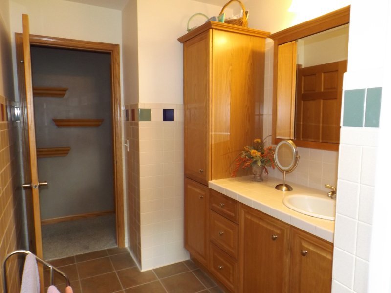 340 Tree Lane Prophetstown, IL 61277 - Photo 22 of 30 a bathroom with a sink and a mirror