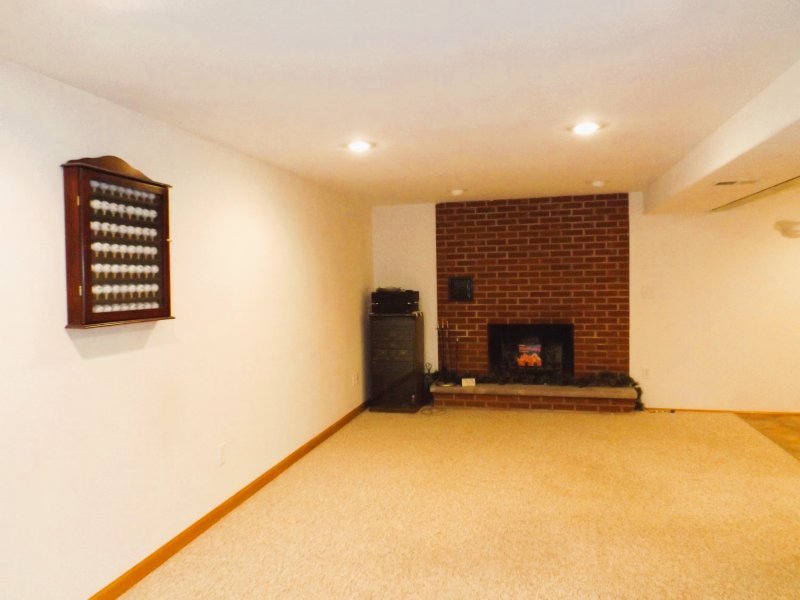 340 Tree Lane Prophetstown, IL 61277 - Photo 23 of 30 a view of an empty room with a fireplace