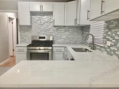 3439 West 84th Street Chicago, IL 60652 - Photo 10 of 32 a kitchen with stainless steel appliances a stove sink and cabinets