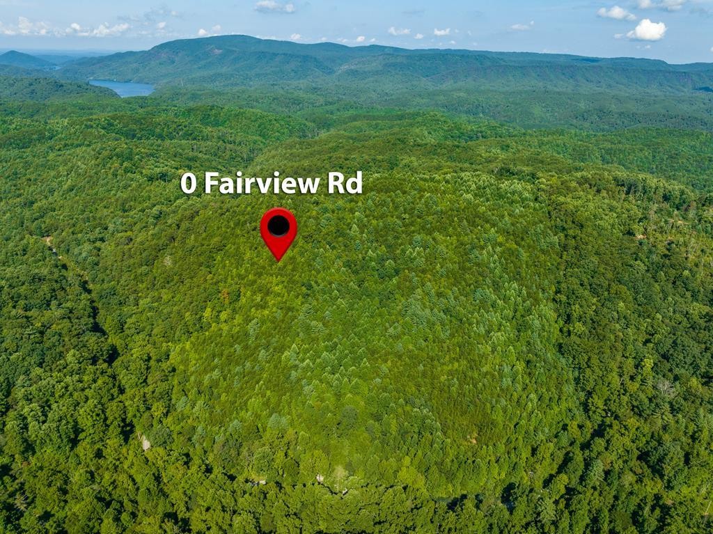 0 Fairview Road Reliance, TN 37369 - Photo 1 of 16 Gallery Image 1