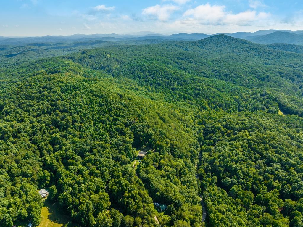 0 Fairview Road Reliance, TN 37369 - Photo 11 of 16 Gallery Image 11