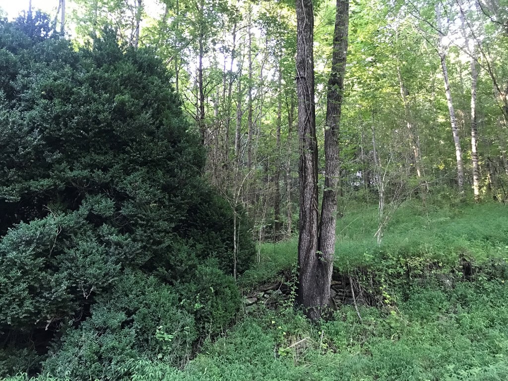 0 Fairview Road Reliance, TN 37369 - Photo 14 of 16 Gallery Image 14