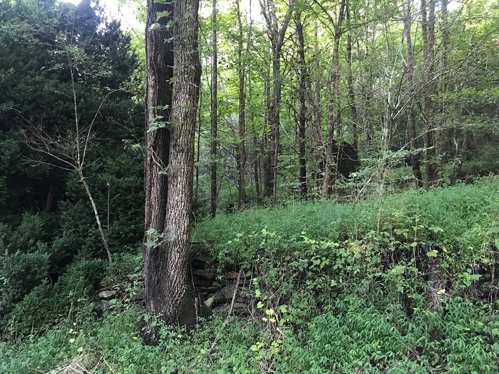 0 Fairview Road Reliance, TN 37369 - Photo 15 of 16 Gallery Image 15