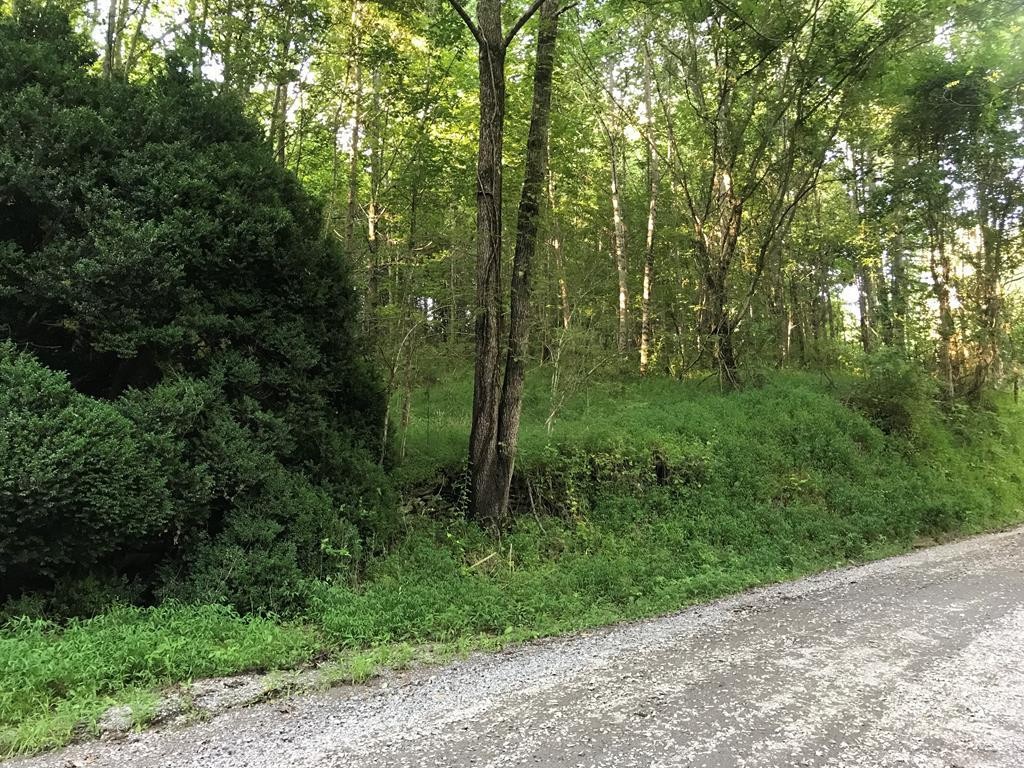 0 Fairview Road Reliance, TN 37369 - Photo 16 of 16 Gallery Image 16
