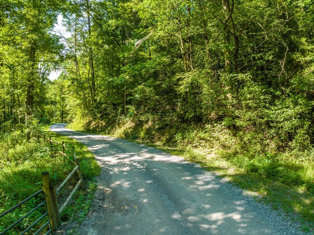 0 Fairview Road Reliance, TN 37369 - Photo 4 of 16 Gallery Image 4