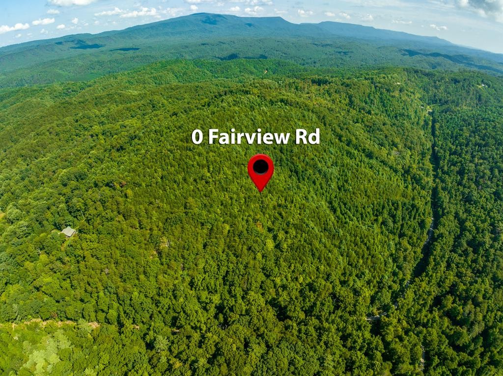 0 Fairview Road Reliance, TN 37369 - Photo 5 of 16 Gallery Image 5