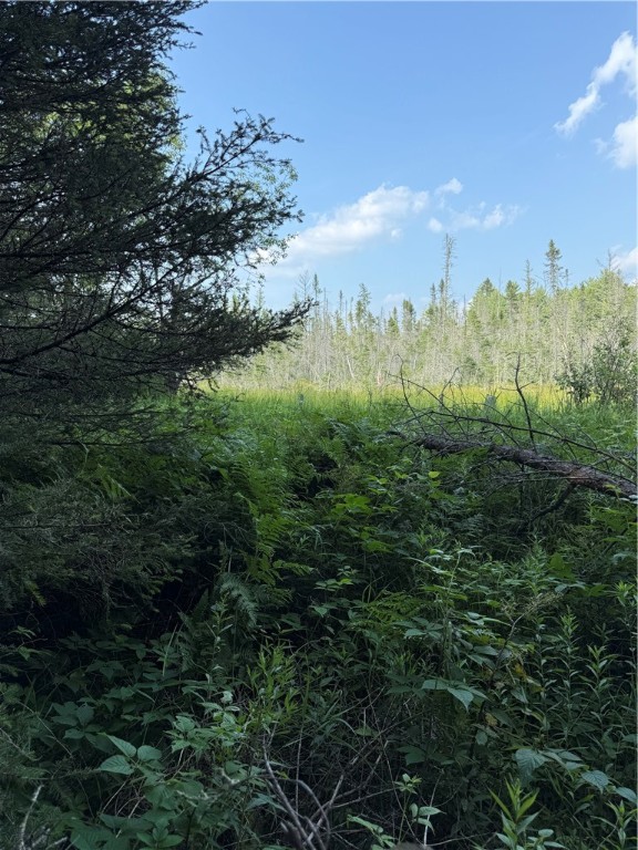 0 Tagalder Trail Hayward, WI 54843 - Photo 13 of 23