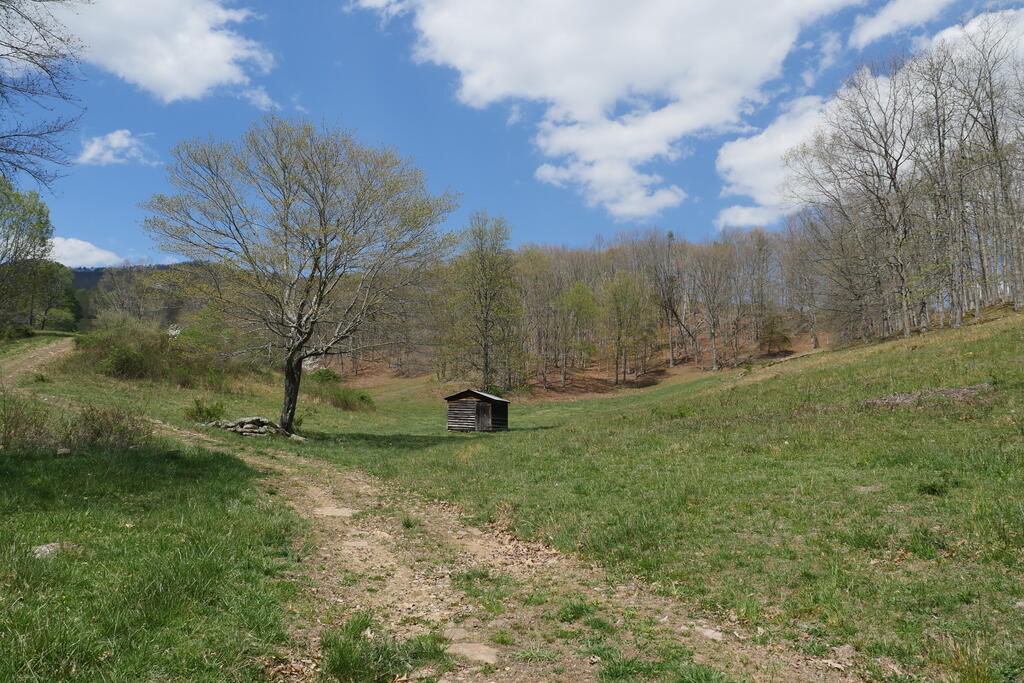 4020 Freestone Valley Road Tannersville, VA 24377 - Photo 33 of 109 Gallery Image 33