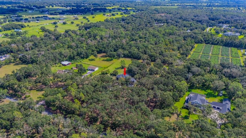11832 Neal Road Lithia, FL 33547 - Photo 64 of 83 Gallery Image 64