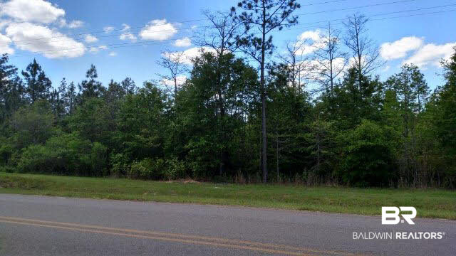 0 County Road 68 Loxley, AL 36551 - Photo 2 of 6