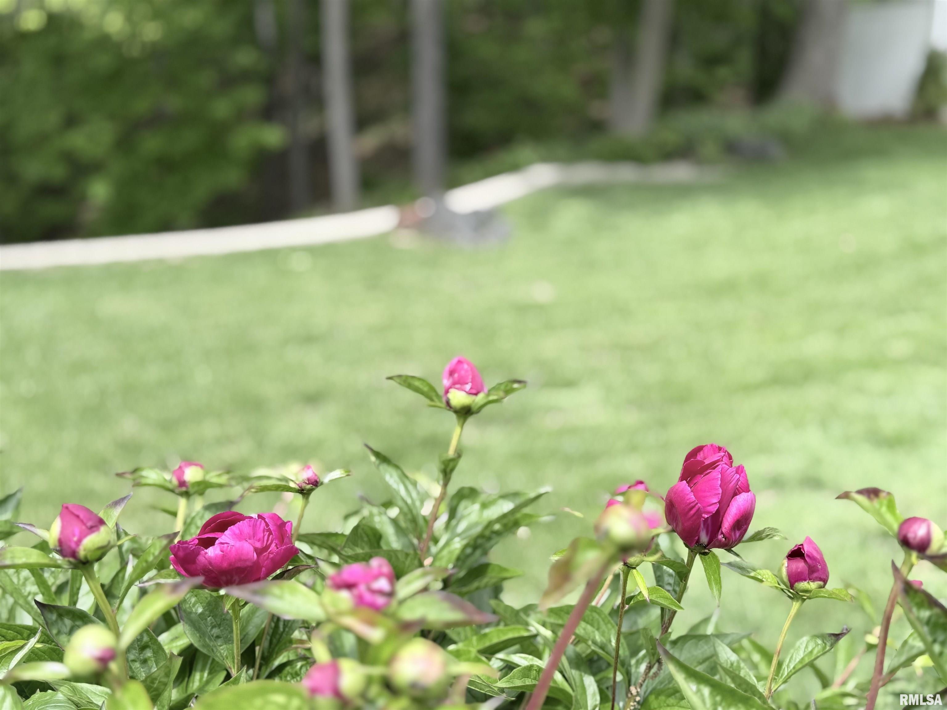9307 North Picture Ridge Road Peoria, IL 61615 - Photo 58 of 61 Gallery Image 58