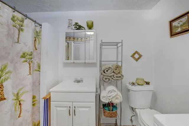 a bathroom with a sink a toilet and a shower curtain