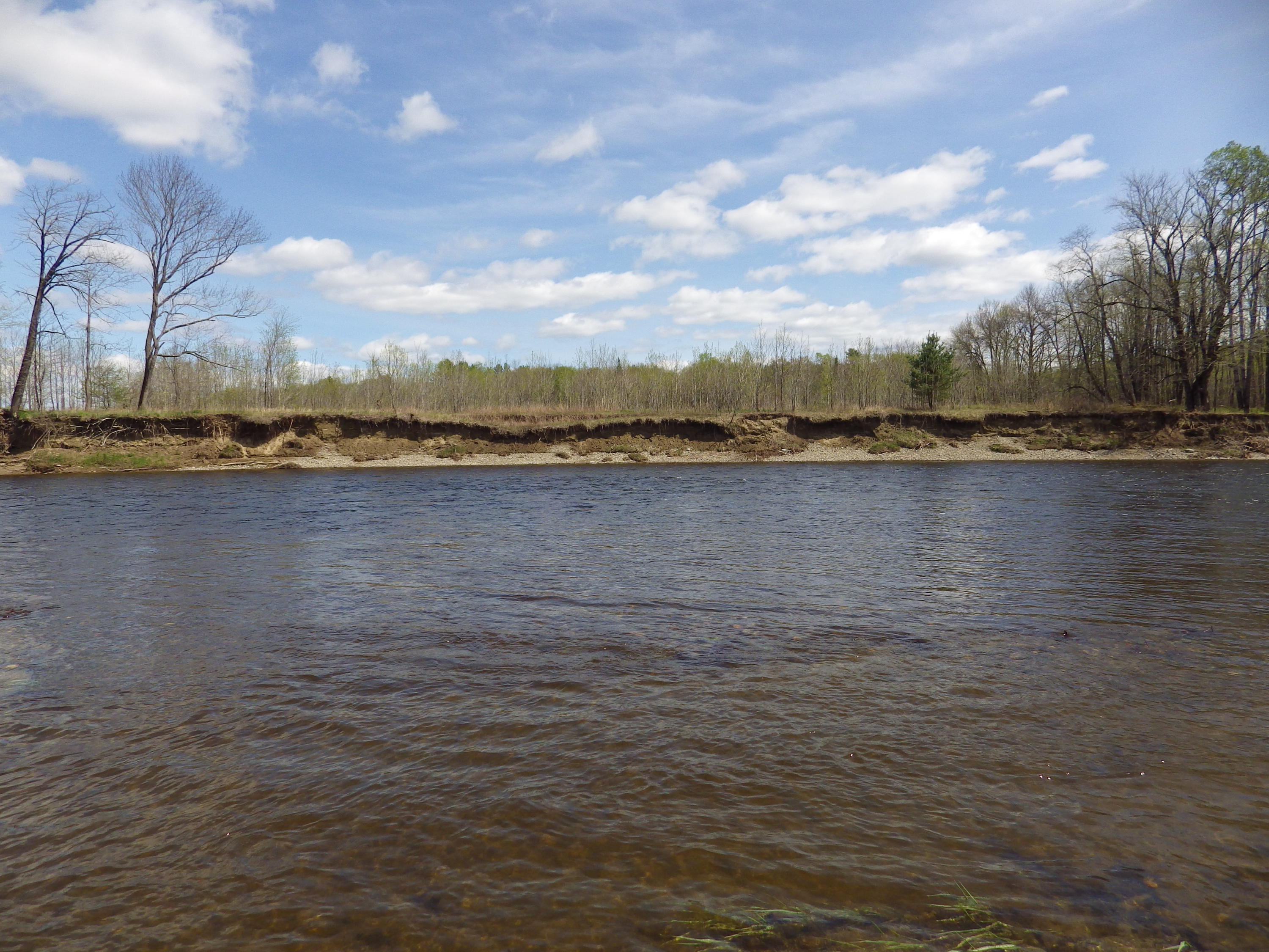 473 Sandy River Road Starks, ME 04911 - Photo 28 of 28 Riverfront