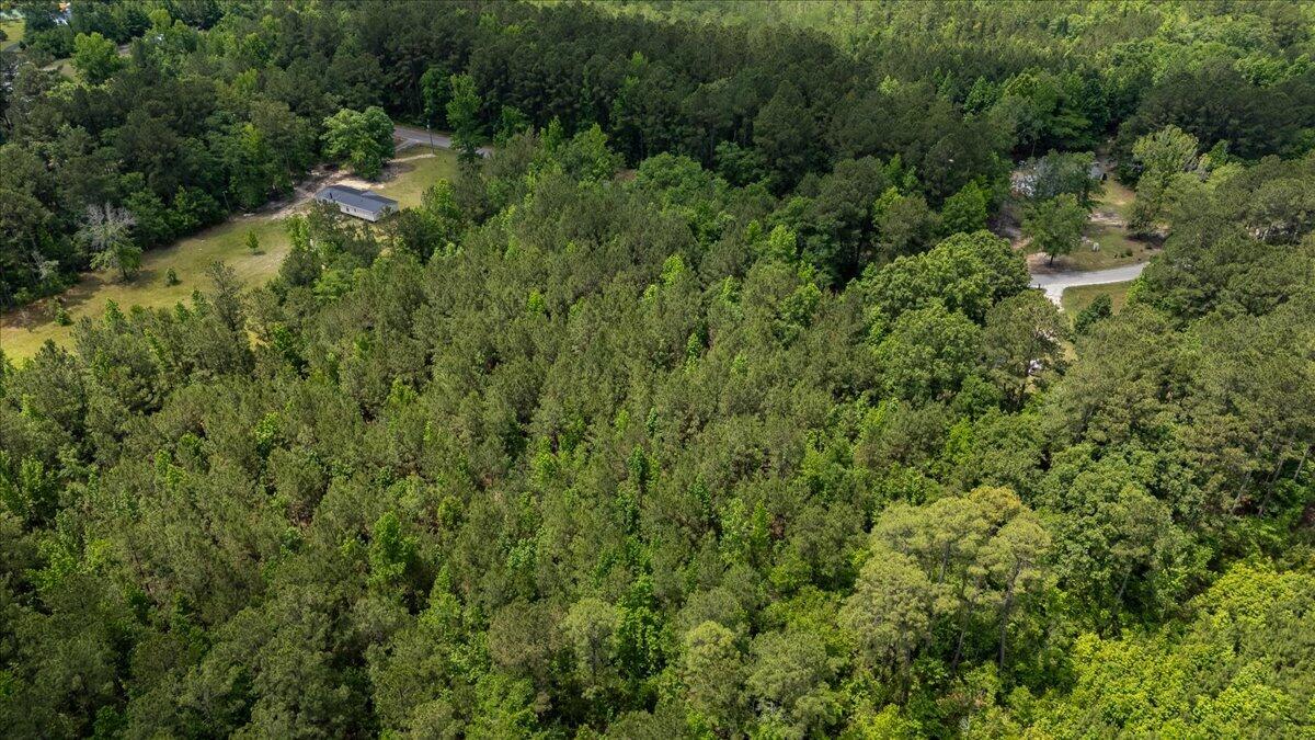 0 Deneaux Road Rowesville, SC 29133 - Photo 27 of 43 27-Deneaux-22
