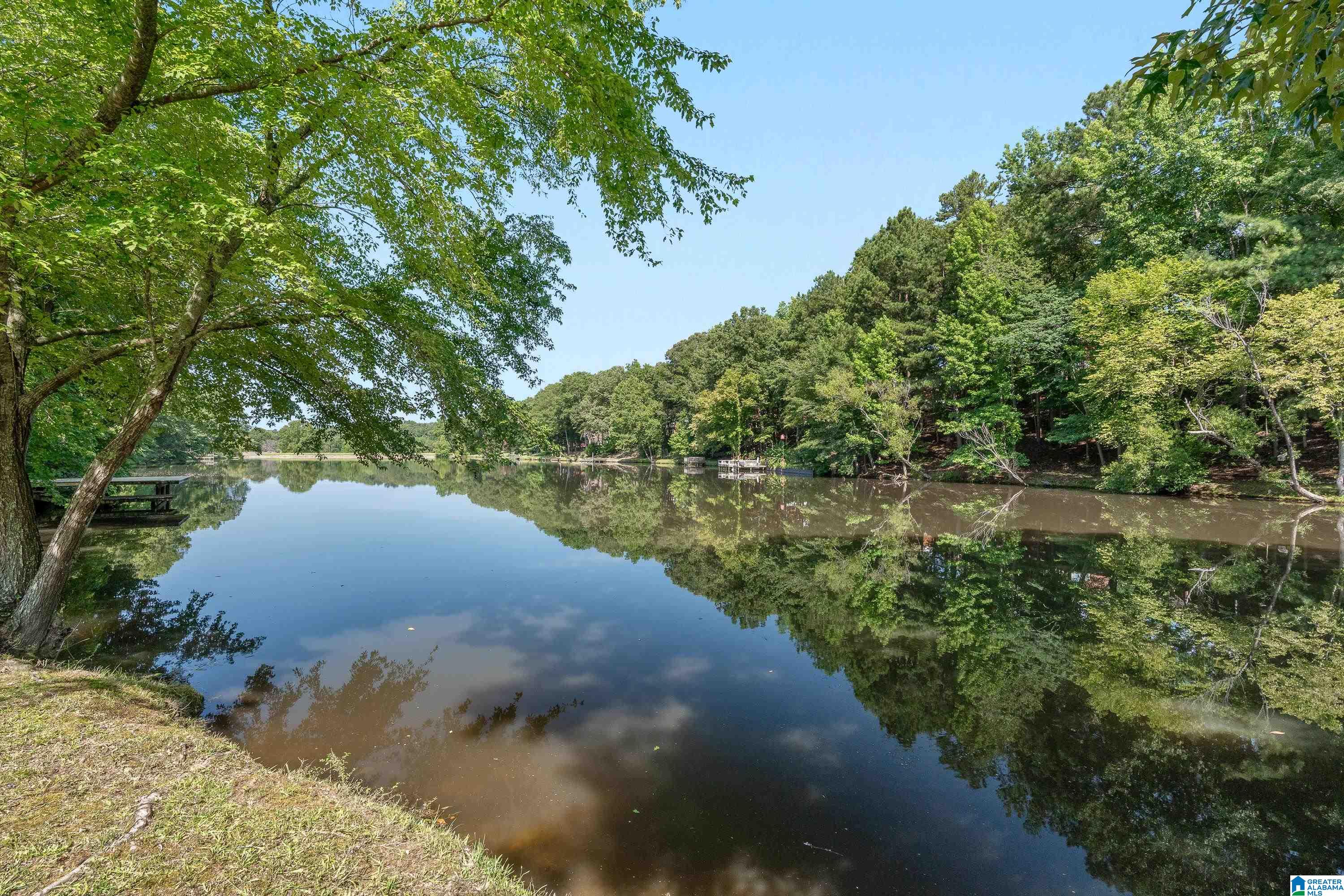 289 Rena Drive Springville, AL 35146 - Photo 56 of 70 Gallery Image 56